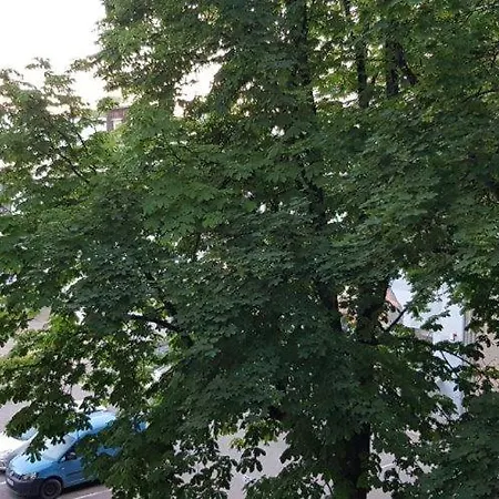 Cozy Center * Kaunas