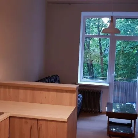 Cozy Center Apartment