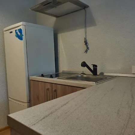 Cozy Center Apartment Kaunas